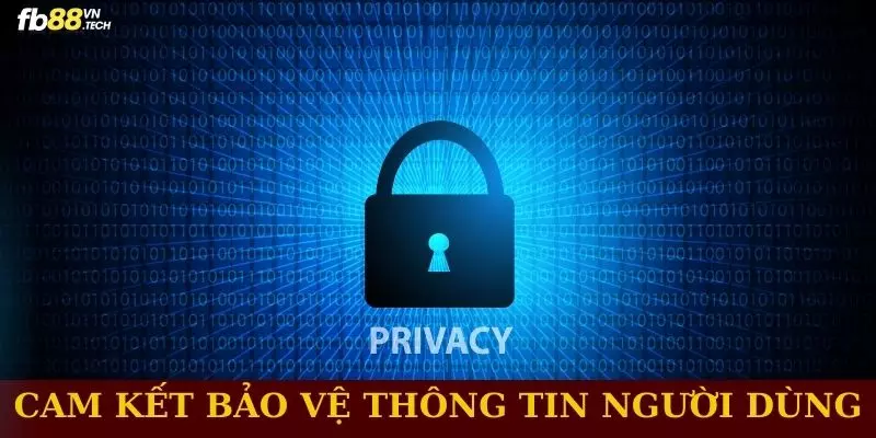 Cam kết bảo vệ thông tin và quyền riêng tư người dùng