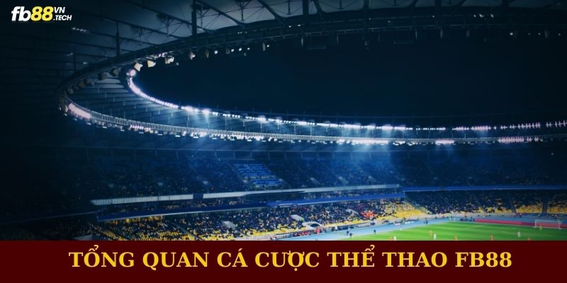 Tổng quan cá cược thể thao FB88 với điểm nhấn về cấu trúc và phạm vi